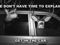 Get in the car