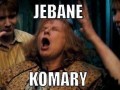 Jebane komary