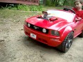 Mini mustang