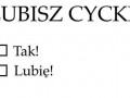 Lubisz cycki...