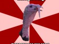 Gululululul!