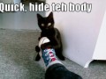Quick!