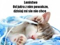 Lenistwo...