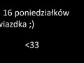Za 16 poniedziałków gwiazdka