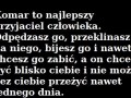 Komar