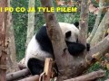 Po co ja tyle piłem...