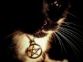 Pentagram cat