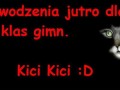 Kici Kici