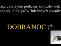 Dobranoc