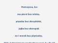 Najsmutniejsze zwierzątko na świecie