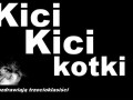 Kici kici kotki