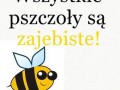Pszczoły są zajebiste