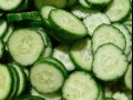 Zielony ogórek