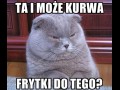 Może frytki do tego...