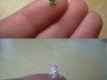 Miniaturki