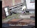 Niedźwiedź polarny zaatakował kobiete