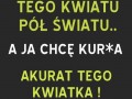 Tego kwiatu jest pół światu