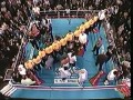 Lennox Lewis vs Mike Tyson - 2002/06/08