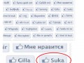 Facebookowe Lubię to! w 75 językach - Suka