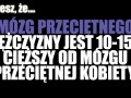 Mózg przeciętnego mężczyzny...