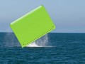 Whale