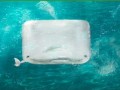 Whale!!