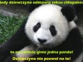 Ginie Panda, dziewczyno nie pozwól na to!