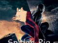 Simpsons - The full Spider Pig Song
