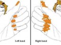 Left hand & right hand