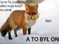 Kawał o Lisku Chytrusku