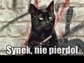 Synek, nie pierdol
