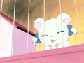 Bijou Hamtaro