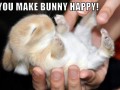 Happy bunny