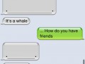 Whale