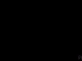 Dupstep typografia