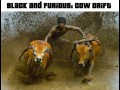 Black and furious