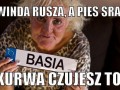 Pani Basia