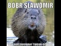 Bóbr Sławomir