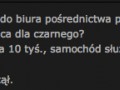 Praca dla Murzyna