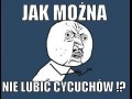Cycuchy