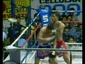 Muay thai highlight 2011