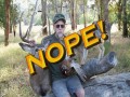Official Ojai Valley Taxidermy TV Commercial