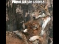 Wiem jak się czujesz...