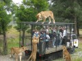 Nowy sposób na zwiedzanie Zoo