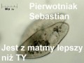 Pierwotniak Sebastian
