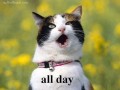 All day and all night