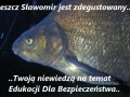 Zdegustowany Leszcz
