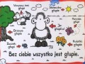 Bez ciebie wszystko jest głupie