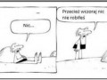 Co będziesz dziś robił