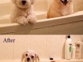 Before & after